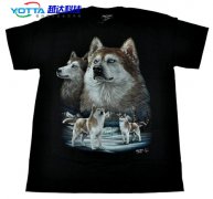 越達(dá)彩印參加上海國際數(shù)碼印花工業(yè)展覽會展品